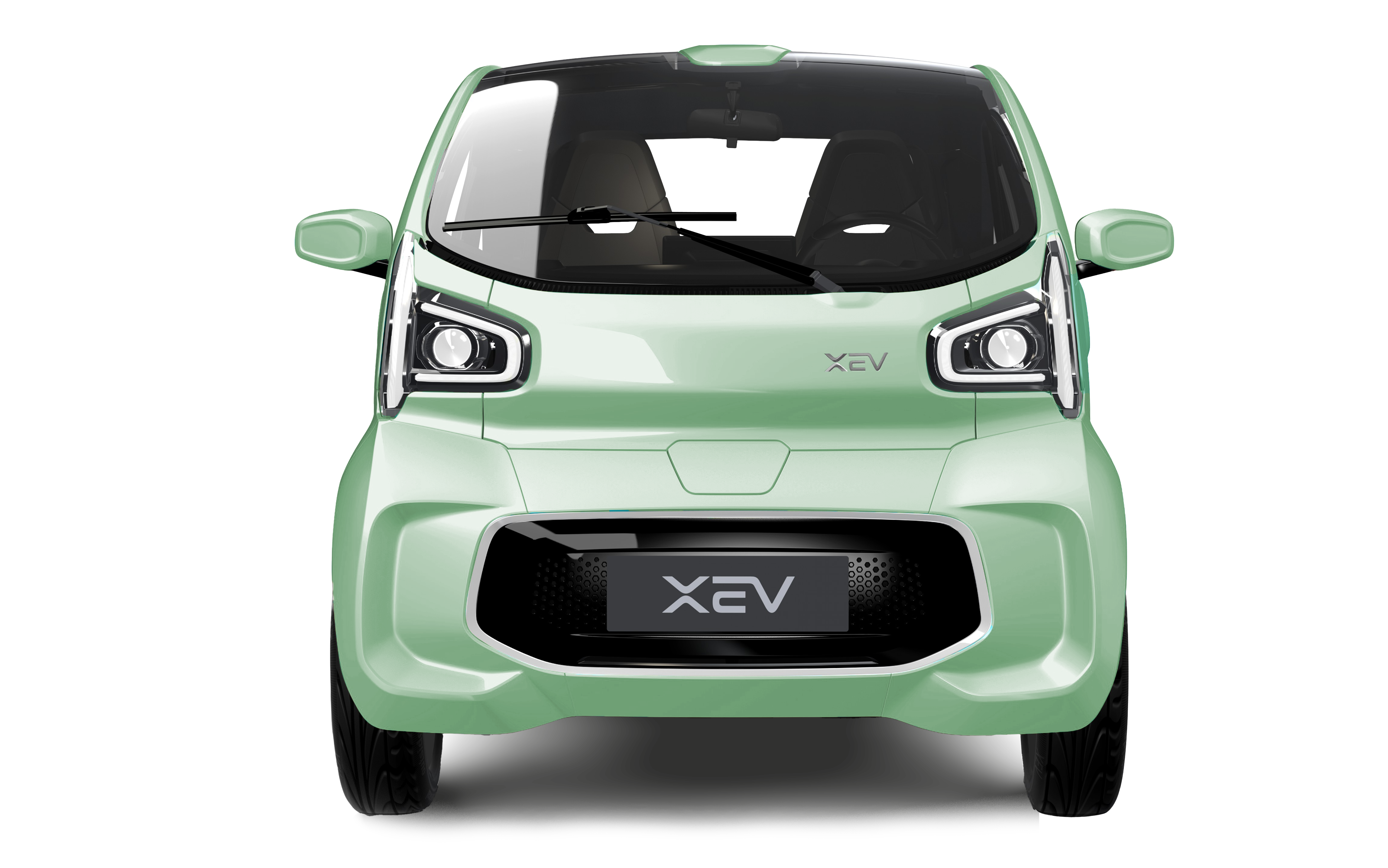 Crushed <strong>Mint</strong>