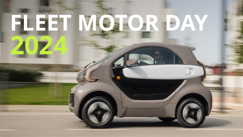  Immagine Piccola Unica 